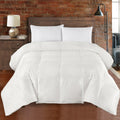 Heavyweight Silk 450 Goose Down Fill Comforter - Solid / King/Calking